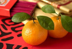 Benarkah Makan Jeruk Mandarin Saat Imlek Bisa Datangkan Cuan dan Hoki