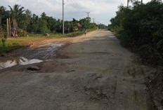 Jalan Lintas Utama Banyak Rusak, Penghubung Beberapa Kecamatan di Tanjab Timur 