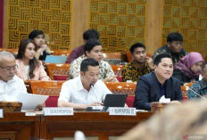 Wamenpora Apresiasi DPR Setujui Proses Naturalisasi Tiga Pemain