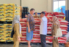 Beras Premium Dioplos dengan Beras Sortiran, Ismet Wijaya: Isi Beras Tidak Sesuai dengan Kemasan