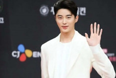 Aktor Byeon Woo Seok Jadi Korban Peniruan Identitas untuk 