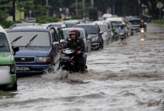 Jalan Nasional Jambi-Sumbar Terendam Banjir