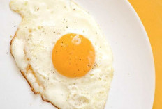 Tips Memasak Telur dengan Baik untuk Kesehatan 