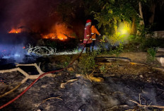 Pembakaran Sampah Menjadi Penyebab Kebakaran di Tanjung Raden