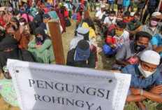 Arus Pengungsi Rohingya Diduga Libatkan Jaringan TPPO