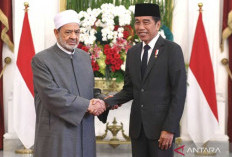 Jokowi-Grand Syekh Al Azhar Bahas Bilateral RI-Mesir 