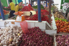 Inflasi Jambi Maret 2025 Terkendali,  Disumbang Tarif Listrik dan Bawang Merah