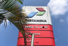 Mantap! Pertamina Raih Peringkat 165 Fortune 500 Global