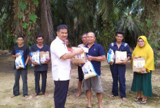 Keluarkan Surat Tugas Pendampingan, SAH Putuskan HKTI Jambi Dukung Budidaya Kacang Koro di Jambi