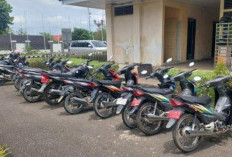 Pemkab Tebo Bakal Lelang Kendaraan Dinas 