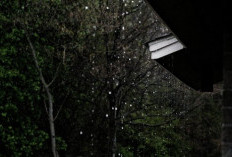  Aktivitas Seru Saat Hujan, Alternatif Redakan Kebosanan