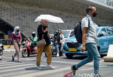 Agar Terhindar dari Heatstroke Saat Cuaca Panas, Ini Cara Mengatur Aktivitas 