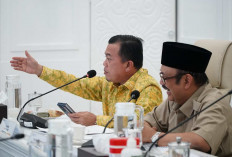 Provinsi Jambi akan Menjadi Role Model, Melalui Tim Khusus Percepatan Pembangunan oleh Bappenas
