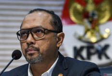 Adik Febri Diansyah Dipanggil KPK, Kasus TPPU Syahrul Yasin Limpo