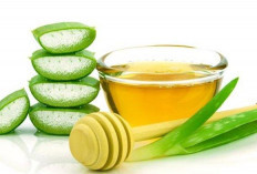 7 Manfaat Jus Lemon Campur Lidah Buaya 