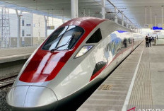 Jumlah penumpang Whoosh Naik 6,3 Persen, Periode Januari-Oktober 2025