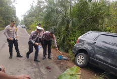 Laka Lantas di Jalan Lintas Jambi-Muara Sabak Geragai, Pengendara Sepeda Motor Meninggal Dunia