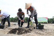 Kapolda Jambi Tanam Jagung Kuartal III di Sungai Gelam
