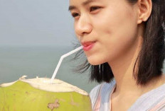 Manfaat dan Risiko Konsumsi Air Kelapa, Perhatikan Bila Punya Kondisi Medis Tertentu