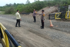 Beruang Madu Muncul di Tanjung Belit  