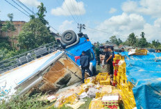  Terjun ke Jurang Sedalam 6 Meter,  Mobi Bermuatan Buah Manggis