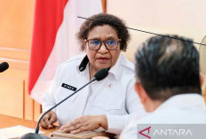 Kemendagri tegaskan komitmen dukung kelancaran PSU pilkada