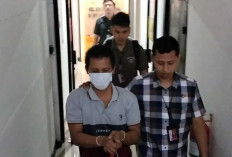 Penjual Bibit Tanpa Izin Dilimpahkan