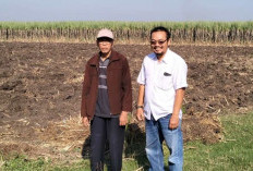 Petani Tebu Desak Pemerintah Perbaiki Total Tata Niaga Gula Nasional