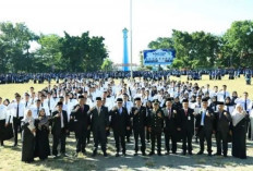 195 CPNS Kota Sungai Penuh Terima SK, Wako Alfin: Bekerjalah dengan Dedikasi dan Integritas