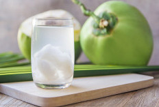 10 Manfaat Air Kelapa untuk Kesehatan Tubuh