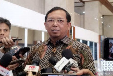 Sekjen Demokrat Sebut Pengibaran Bendera ''One Piece'' Tak Etis