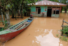 Banjir Hadang Warga Pangean dan Lubuk Suli,  Namun Pilkada 2024 Tetap Aman