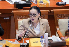 Anggota DPR Tanyakan Sharing Data RI-AS, ''Lompatan Besar jika Setara''