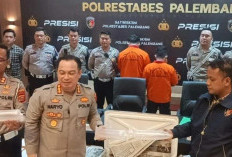 Polisi Gagalkan Penyelundupan 63.100 Benih Lobster Senilai Rp189 Miliar