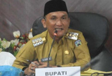 Bupati Hurmin Luncurkan Aplikasi ''Pak Kades''