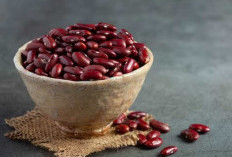 Bantu Menjaga Kesehatan Jantung, Ini Dia 6 Khasiat Kacang Merah yang Jarang Diketahui