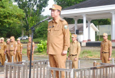 Sinyal Reshuffle di Kabinet BBS, Bebaskan ASN Muaro Jambi Pilih Jabatan 