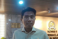 DPR Belum Sikapi Putusan MK Terkait Pemilu 2029