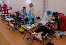 Komisi IX Ingatkan Keselamatan Pasien, Usai Dibuka Impor Dokter Asing