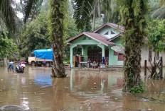 Waduh, Pj Bupati Tebo Aspan Sebut Stok Bantuan Sembako Korban Banjir Menipis