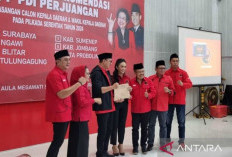 PDIP Beri Surat Tugas ke Krisdayanti 