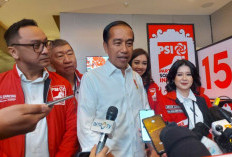 Jokowi Pilih Fokus di PSI, Dasco Temui Megawati