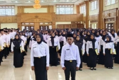 TPP ASN Tebo Terancam Tak Dibayar, Dampak Efesiensi Anggaran Rp 300 Miliar