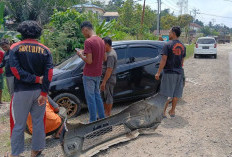 Tiba-tiba Ada Kendaraan Arah Berlawanan, Sopir Banting Stir dan Honda Brio Masuk Jurang