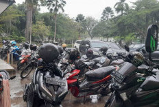 BMKG Jambi Keluarkan Peringatan, Waspadai Hujan Lebat Disertai Angin Kencang