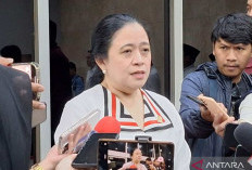 DPR Tunggu Penjelasan Pemerintah, Soal Evakuasi Warga Palestina
