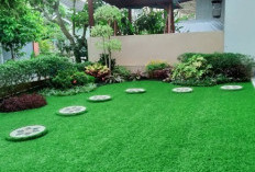 Sebelum Pasang Rumput Sintetis, Ketahui 6 Kekurangannya