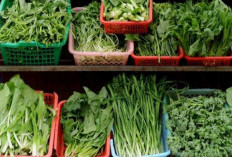 Makanan Rumahan yang Aman untuk Penderita Maag dan Mudah Didapatkan