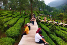 Milenial dan Gen Z Gemar Liburan ke Luar Kota
