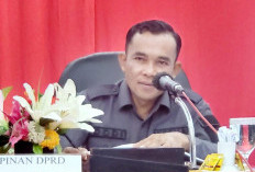 Acungkan Pisau saat Paripurna, Aksi Ketua DPRD Kabupaten Solok Tuai Kecaman Publik